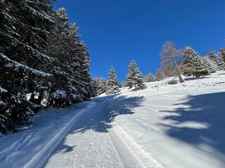 Excellently arranged and cleaned winter trails for walking, hiking, sports and recreation in the area of the tourist resorts of Valbella and Lenzerheide in the Swiss Alps - Switzerland (Schweiz)