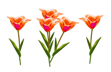 Obraz premium Pink, orange, red tulips beautifully lit by the sun on an isolated transparent background.