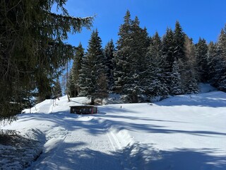 Excellently arranged and cleaned winter trails for walking, hiking, sports and recreation in the area of the tourist resorts of Valbella and Lenzerheide in the Swiss Alps - Switzerland (Schweiz)