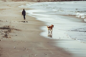 Generative AI : dogs enjoy playing on beach with owner