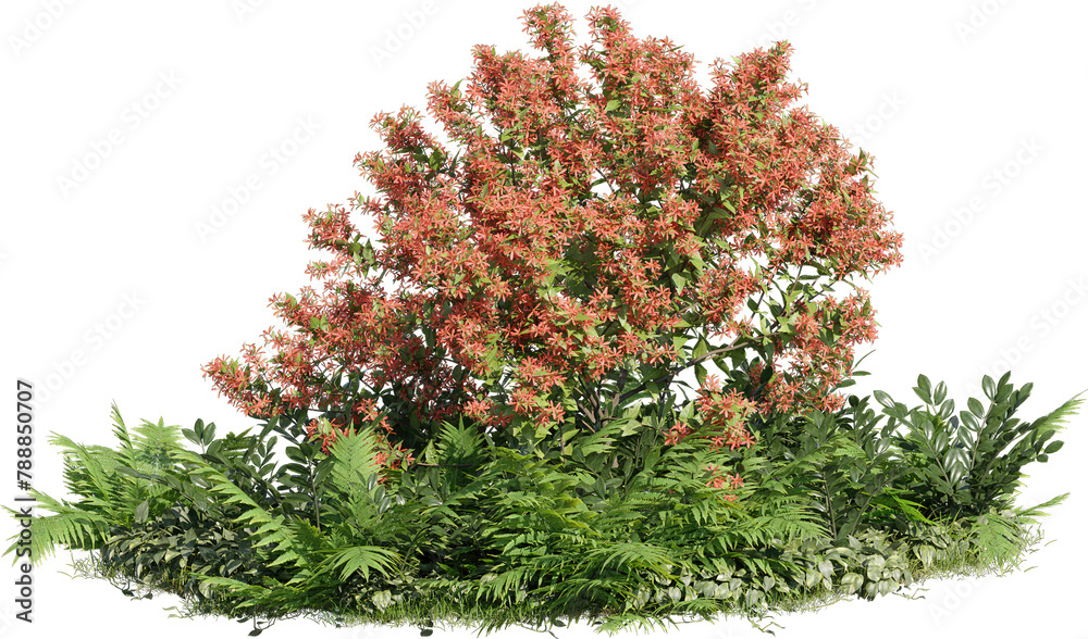 Poster realistic 3d rendering of a tree on transparent background, suitable for architecture visualization,
