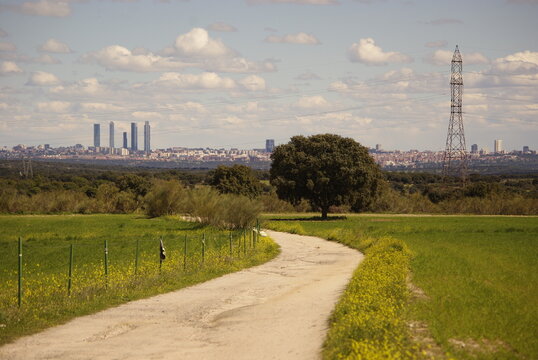 Paisaje de campo  desde las afueras de la gran ciudad dejando ver las torres. Madrid