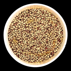Coriander Seeds