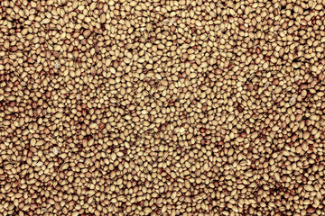 Coriander Seeds