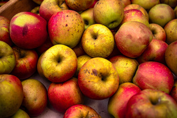 Farm Fresh Fruit and Veggies