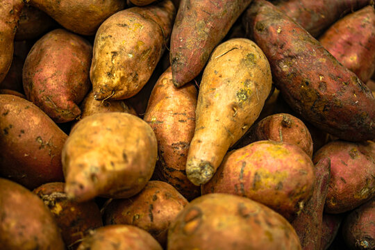 Farm Fresh Fruit and Veggies