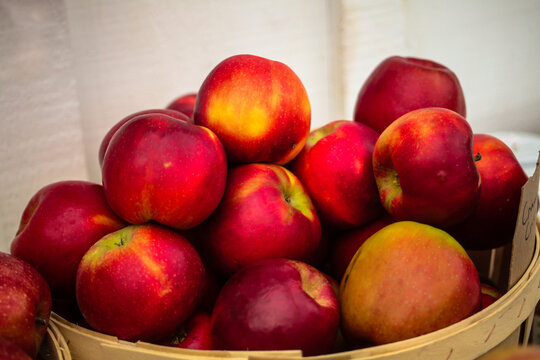 Farm Fresh Fruit and Veggies