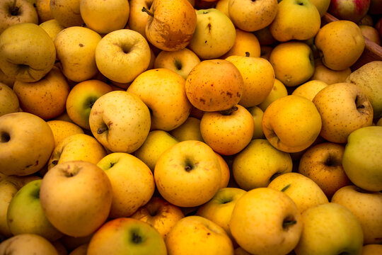 Farm Fresh Fruit and Veggies