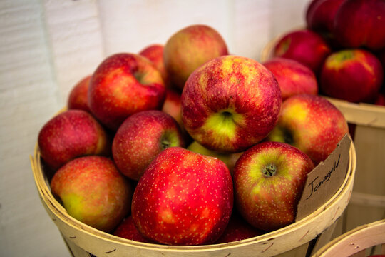 Farm Fresh Fruit and Veggies