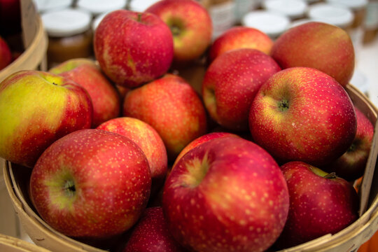 Farm Fresh Fruit and Veggies