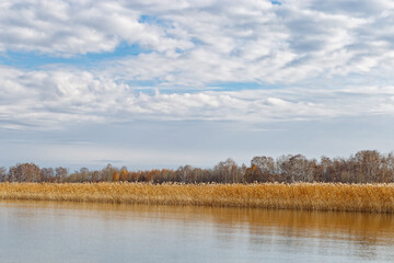 Picturesque view lake, dry reed plant and blue cloudy sky, nature environment background, lake Ik, Russia. Calm windless weather, natural scenery, beautiful rural landscape, grass reeds lakeside