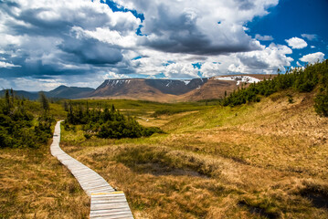 Trail with mountains in Gros Morne National Park - obrazy, fototapety, plakaty