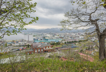Fototapeta na wymiar Landscape View Of Beautiful Cherry Blossoms (Sakura) With Port of Otaru On The Hill Of Temiya Park, Otaru, Hokkaido, Japan