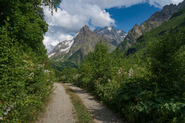 Obraz premium View of the Dombay-Ulgen gorge in the mountains of the North Caucasus and the trail to the Chuchkhur waterfall near the village of Dombay on a sunny summer day, Karachay-Cherkessia, Russia