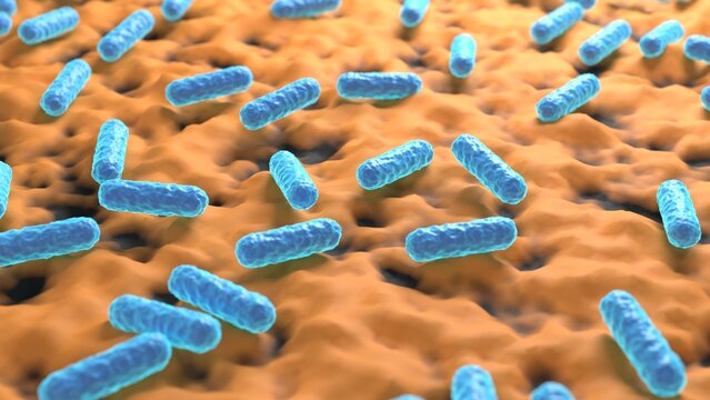 microbiology bacteria cells 3d representation. Can be used to represent the immunity system, microbiota bacillus, epidemiology enterobacteria