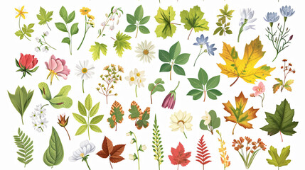 Diverse assortment of leaves and flora, seasonal changes, concept: botanical elements.
 - obrazy, fototapety, plakaty