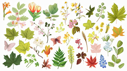 Assorted wildflowers and leaves collection, botanical variety, concept: flora diversity.

