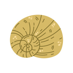 Nautilus shell vector illustration. Aquatic spiral seashell with spots, stripes. Underwater oceanic mollusk, seabed creature. Hand drawn marine doodle, sea clipart. Colorful cartoon aquarium animal