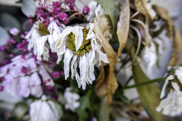 Dried flowers in a cemetery
