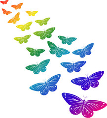 Background of butterfly flying  isolated illustration