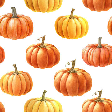 Bright orange pumpkins seamless pattern. Watercolor painted illustration. Hand drawn ripe autumn harvest season pumpkin decoration. Thanksgiving and halloween bright seamless pattern element