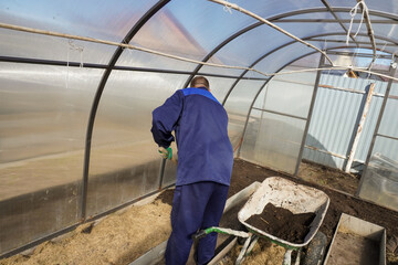 A man works in a vegetable garden in early spring.  Digs the ground.   Working in a greenhouse