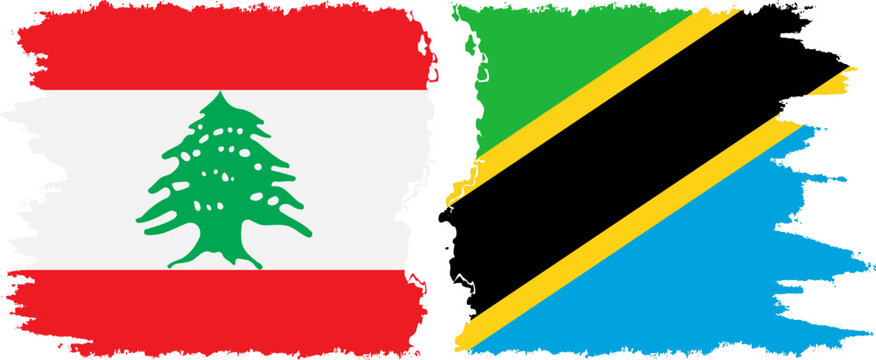 Tanzania and Lebanon grunge flags connection vector