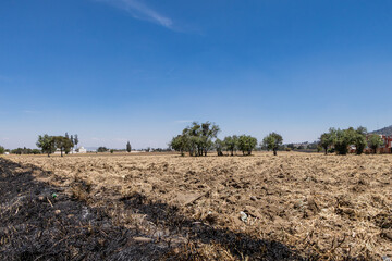 Crop fields during drought in Mexico in April 2024