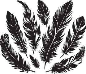 Birds feather silhouette vector illustration