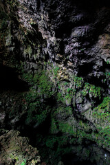 A view of ornamentation covered with green moss at mouth of Karst Gunungsewu cave. Called the twilight zone because intensity of sunlight decreases.