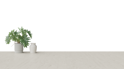 a plant in a white vase on a wooden floor