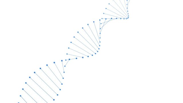 Abstract dotted dna chain loop rotation on white background.