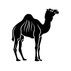 Camel Mascot