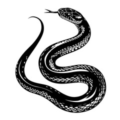 coiled venomous snake