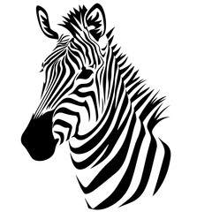 Striped zebra