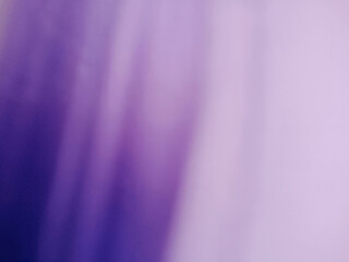 blurred abstract gradient purple background