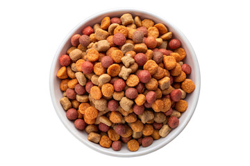 Dry dog and cat nutrition food in a white bowl. Pet food concept.