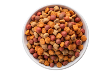 Dry dog and cat nutrition food in a white bowl. Pet food concept.