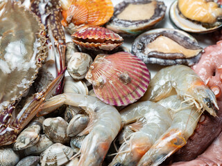 Raw octopus and various seafood	