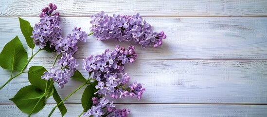 Spring blooms. Lilac blossoms on a white wooden surface. View from above with space for text.