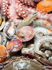 Raw octopus and various seafood	
