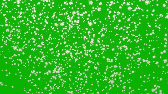 A seamless looping animation of the million dandelion seeds flying and floating on transparency greenback background as 3d modeling nature phenomena physics simulation.