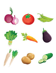 set of vegetables hand drawn illustrations digital