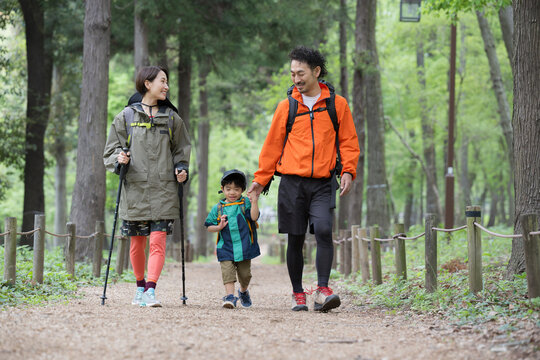 ハイキングする親子　緑の中登山やトレッキングする家族　夏のレジャーやアウトドアのお出かけのイメージ