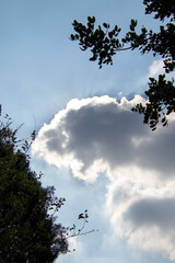 African cloudscape for background use