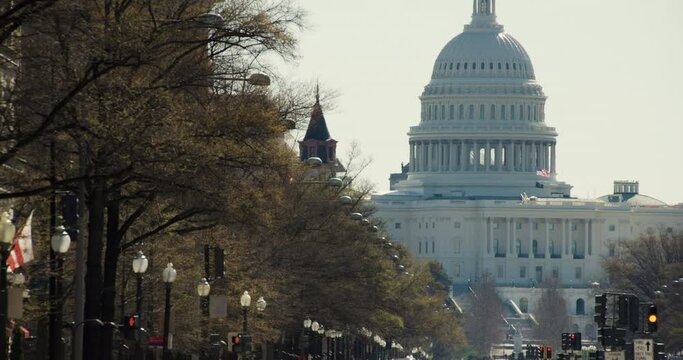 U.S. Capitol Dome with Trees Along Pennsylvania Avenue