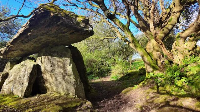 Doorway to the past portal tomb Gaulstown Dolmen in Waterford Ireland historical site and spiritual place in a mystical forest timeless place
