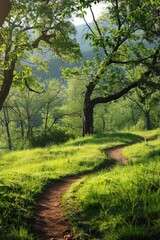 Fototapeta premium Winding dirt path through a bright green meadow in the morning