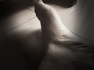 Man leg  grayscale photo
