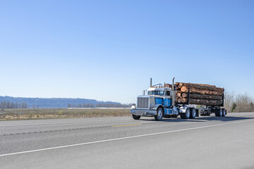 Day cab classic powerful big rig semi truck transporting logs on the semi trailer driving on the road at sunny day